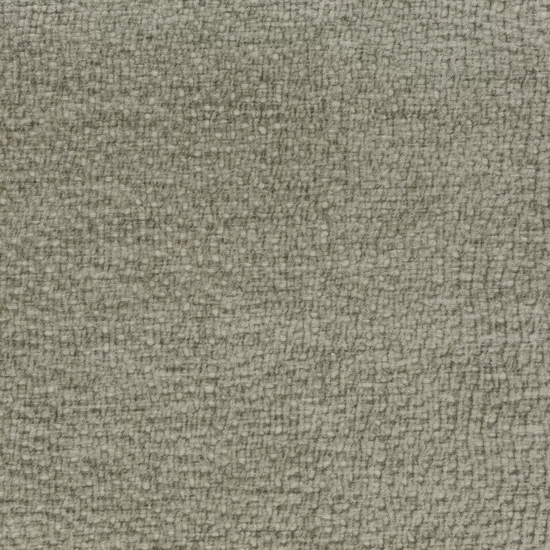 Crocodile - Ja1077/030