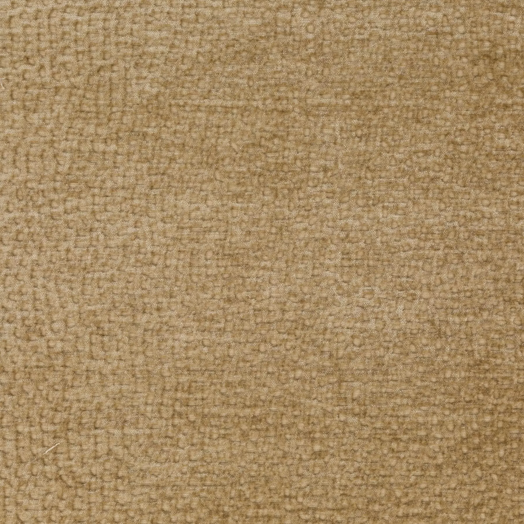 Crocodile - Ja1077/072