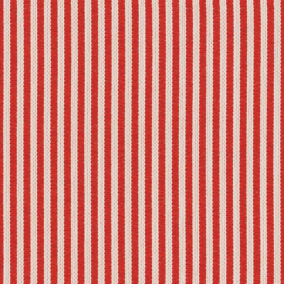 Petit Paradis - 19647.335