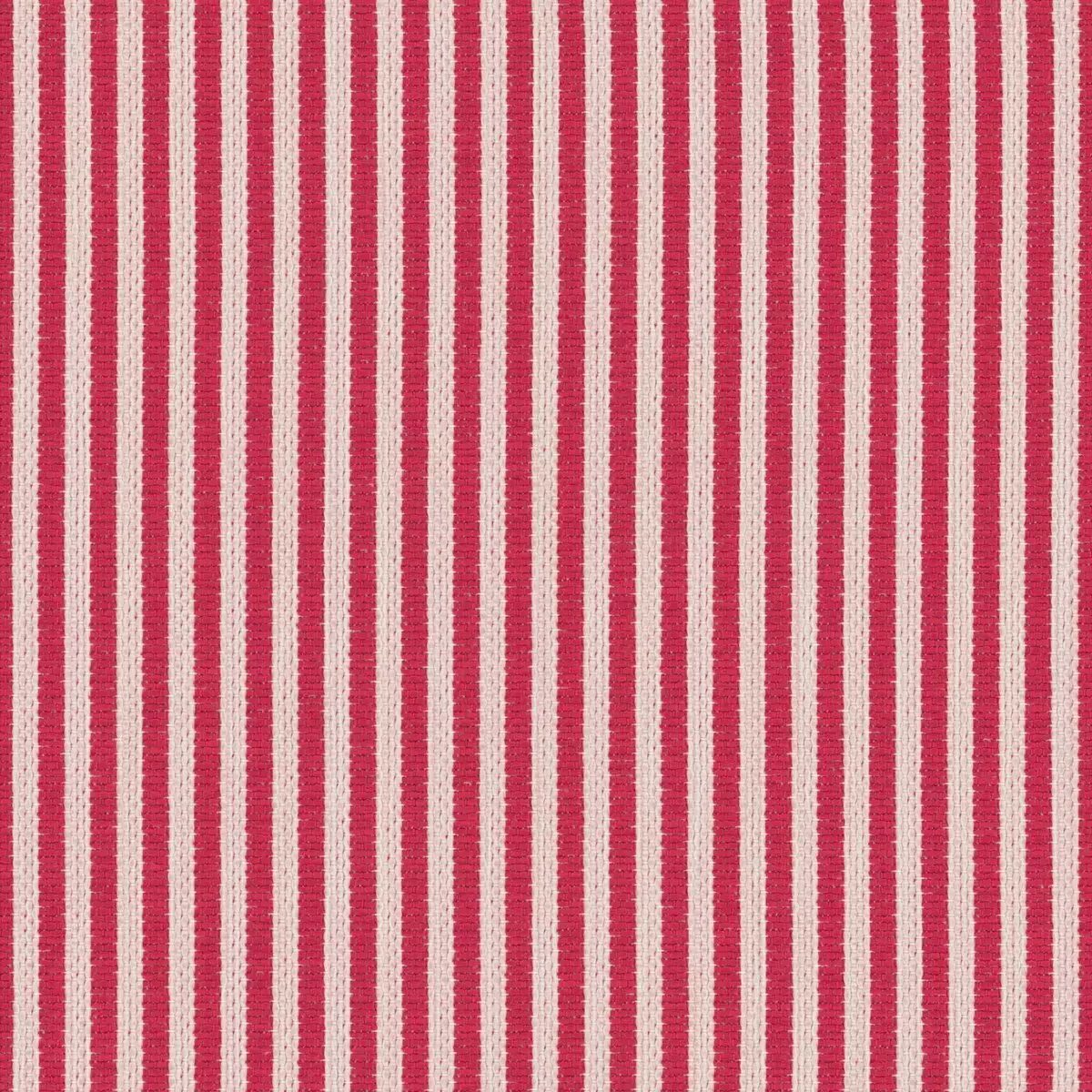 Petit Paradis - 19647.445