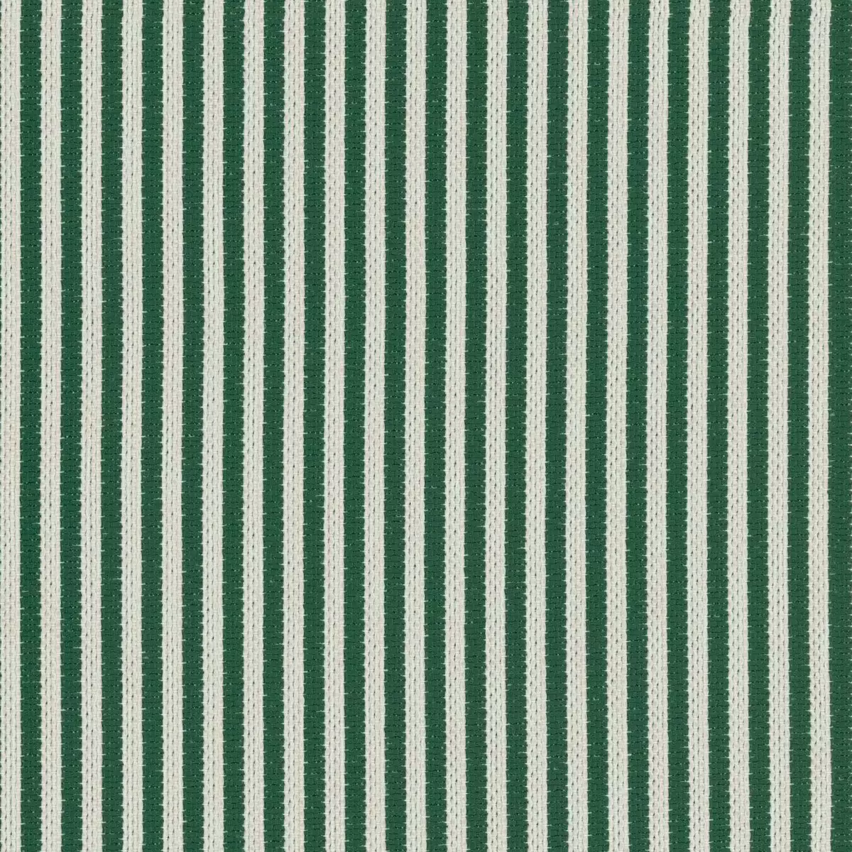 Petit Paradis - 19647.775