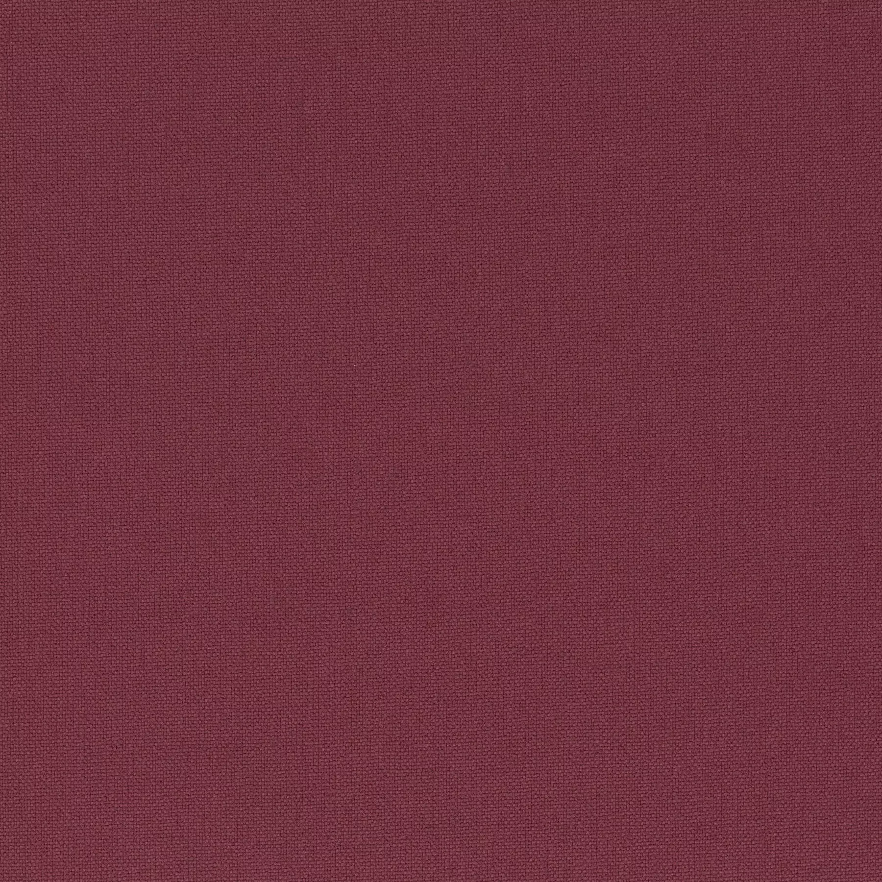 Rockin Star - Ch3218/011