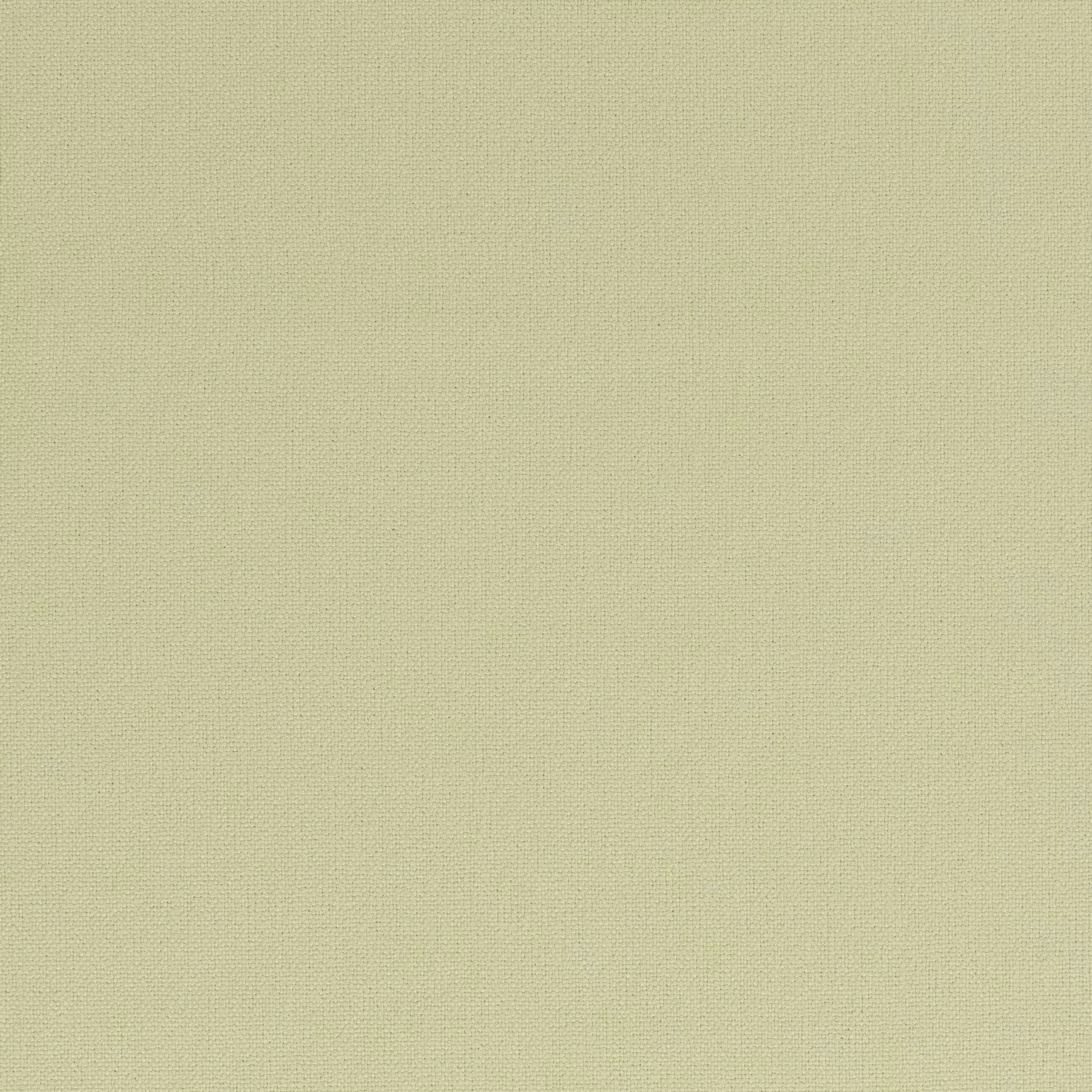 Rockin Star - Ch3218/040