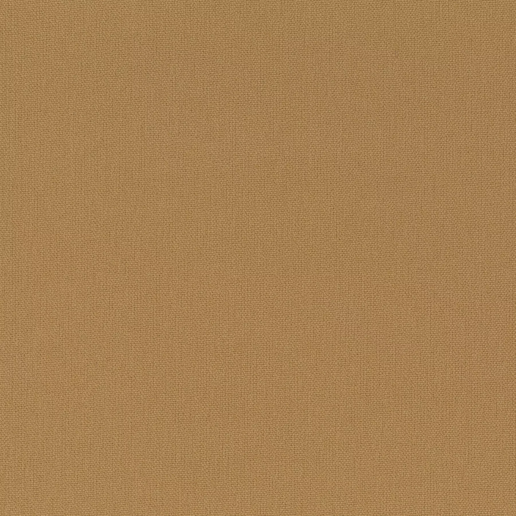 Rockin Star - Ch3218/041