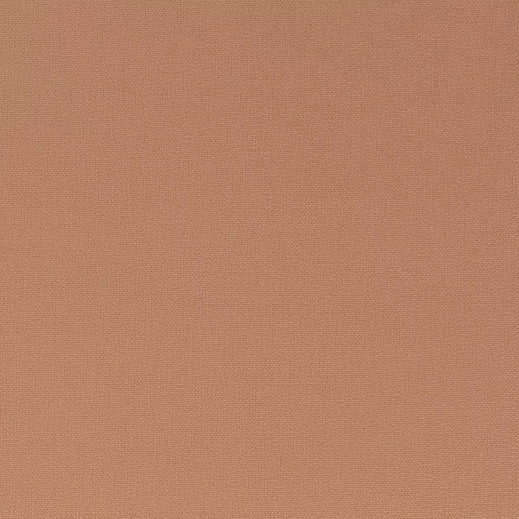 Rockin Star - Ch3218/062