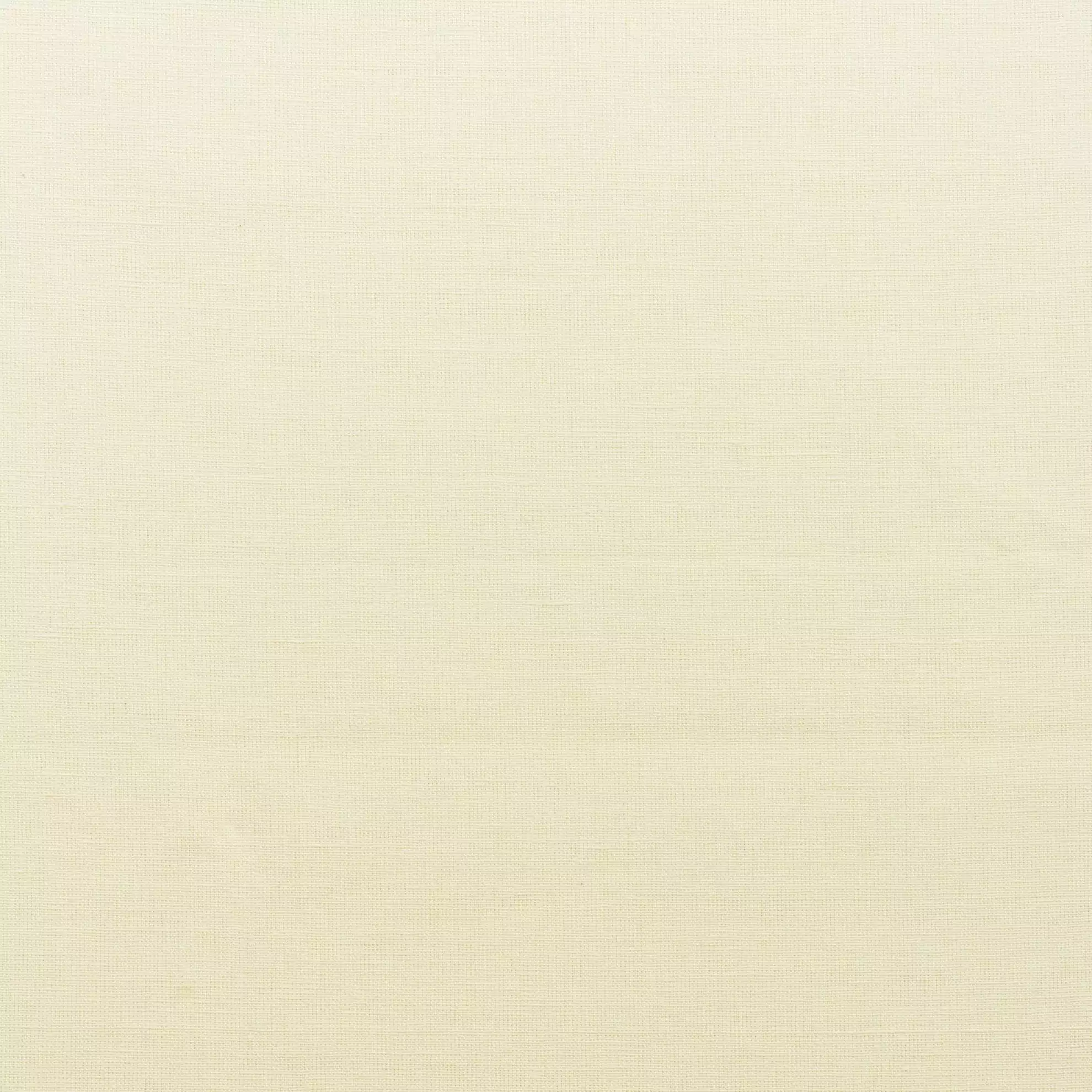 Birdsong Delphinium Plain - Ivory
