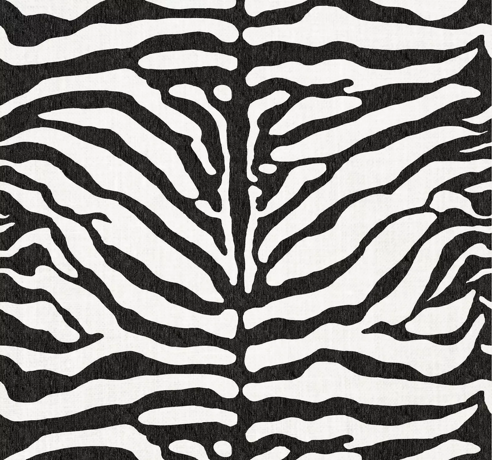 View Kenya - Zebra Kenya - Zebra