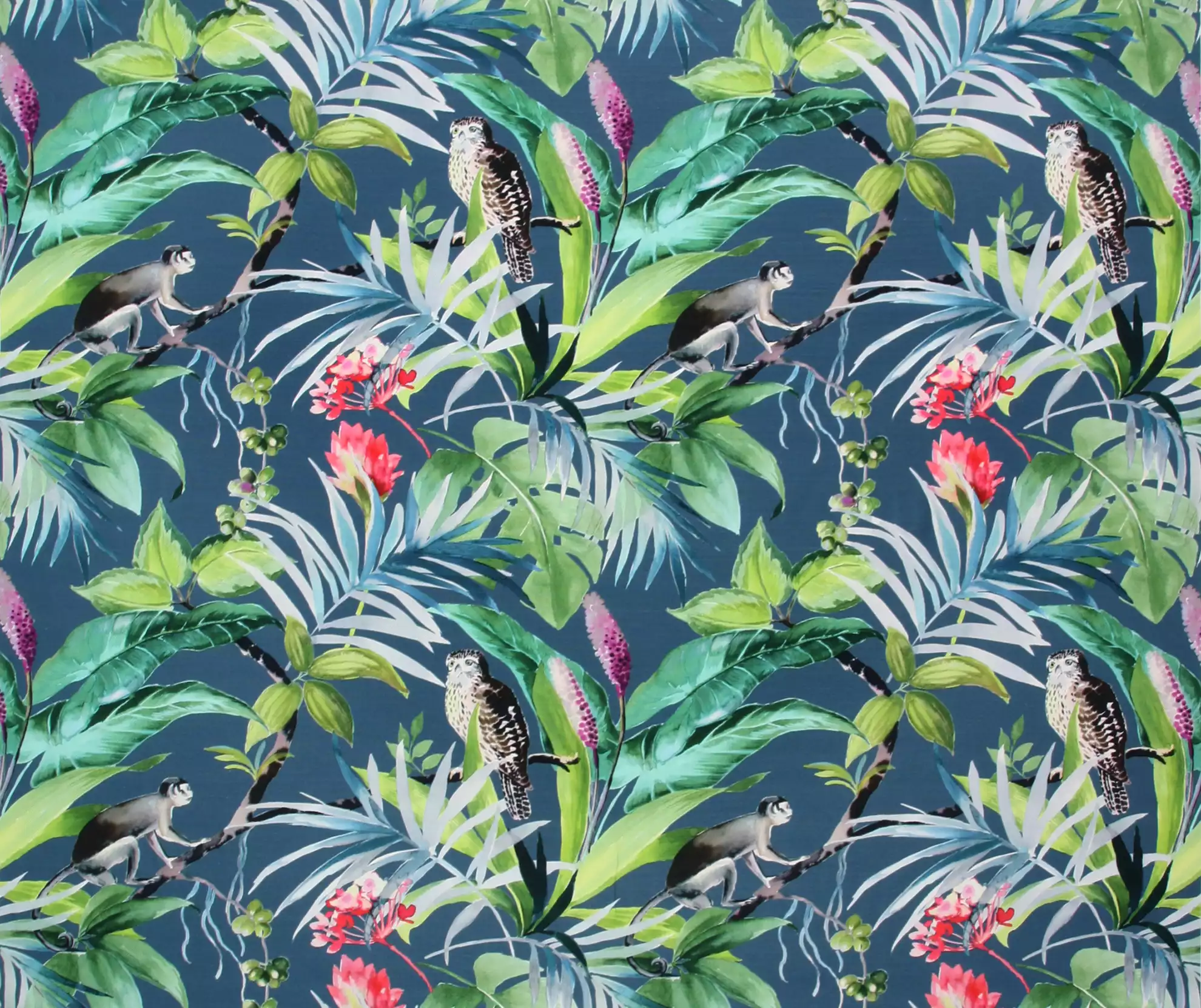 View Madagascar | Bleu Madagascar | Bleu