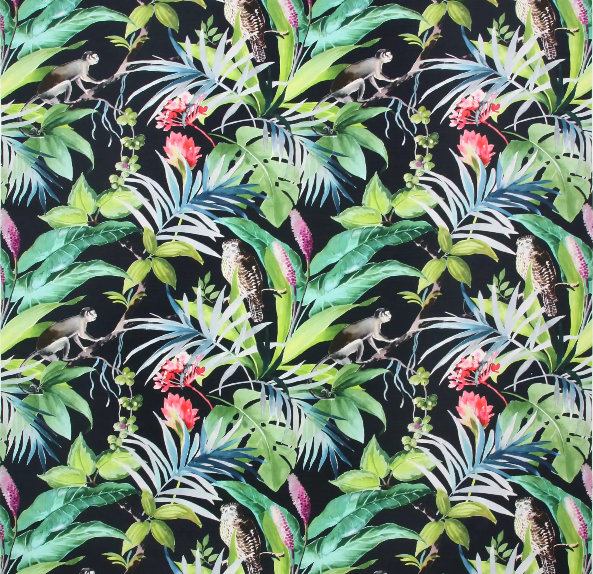 View Madagascar | Noir Madagascar | Noir