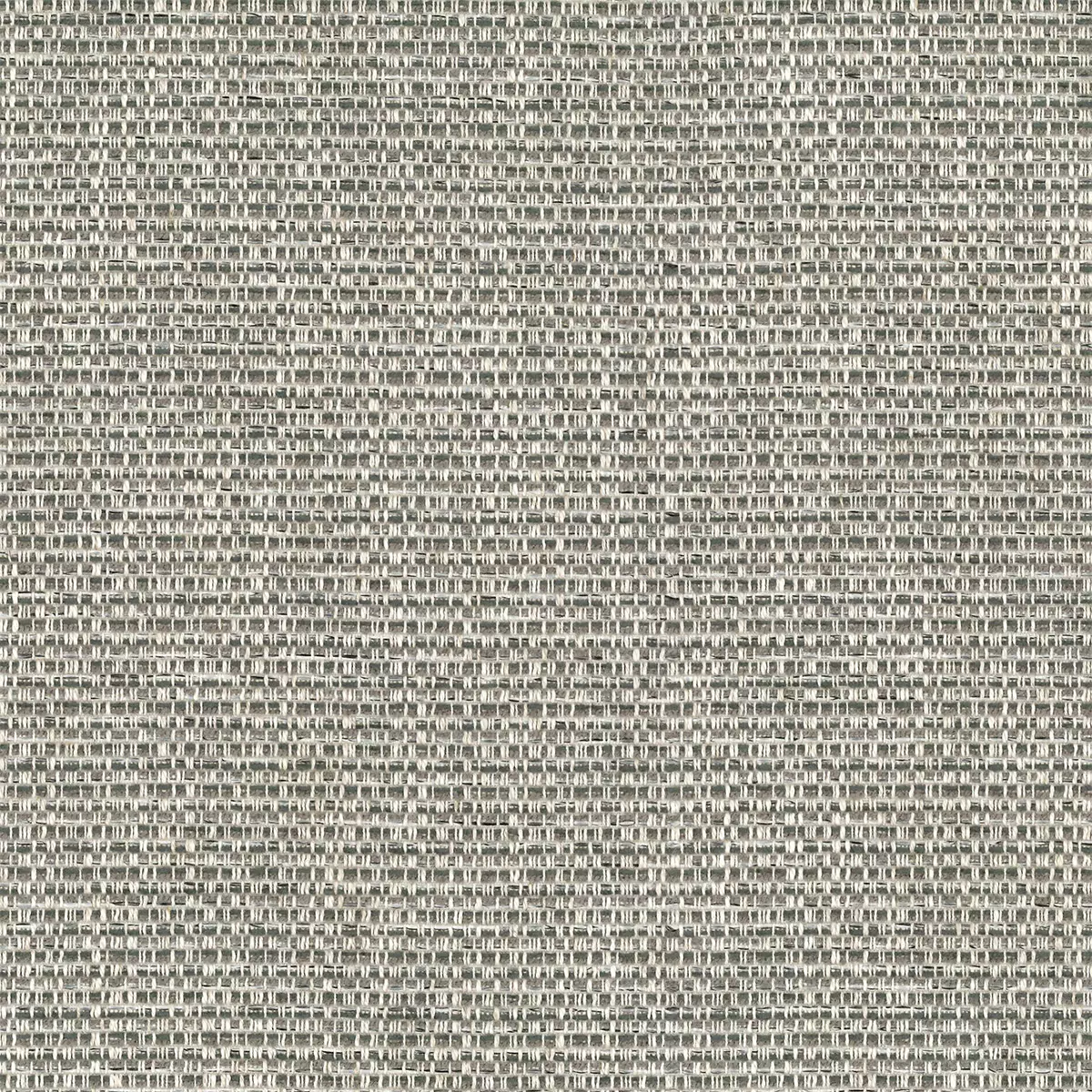 View Auden - Titanium Auden - Titanium