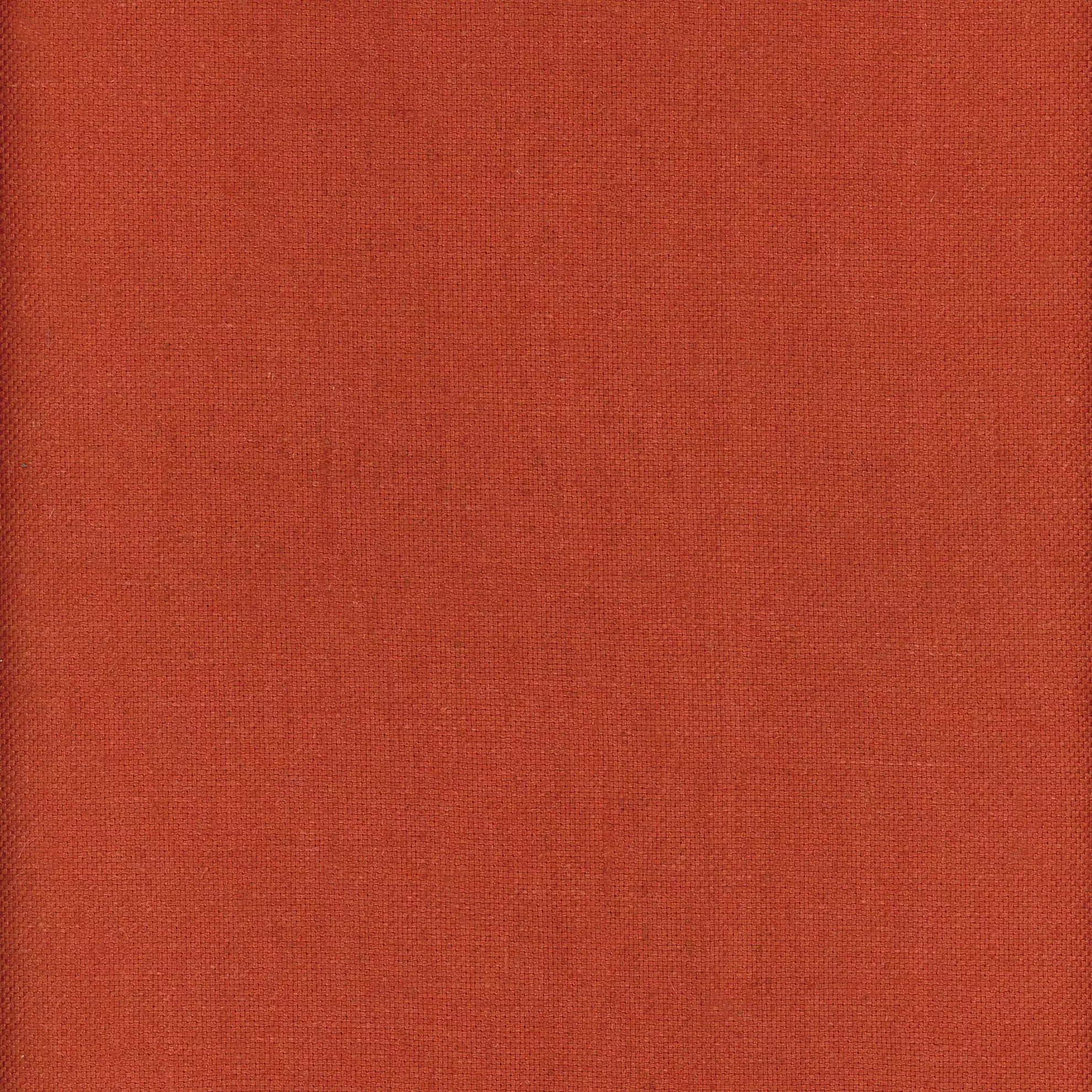 View Beagle | Coral Beagle | Coral