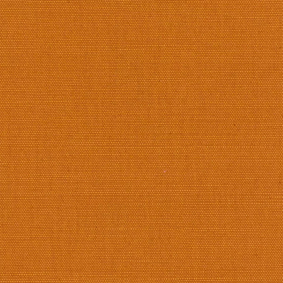 View Lacquer | Mango Lacquer | Mango