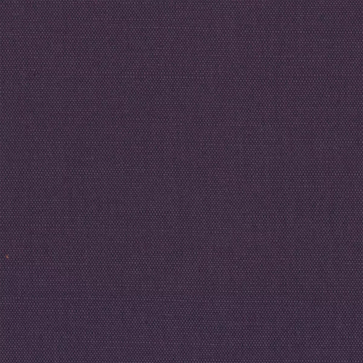 View Lacquer | Purple Lacquer | Purple