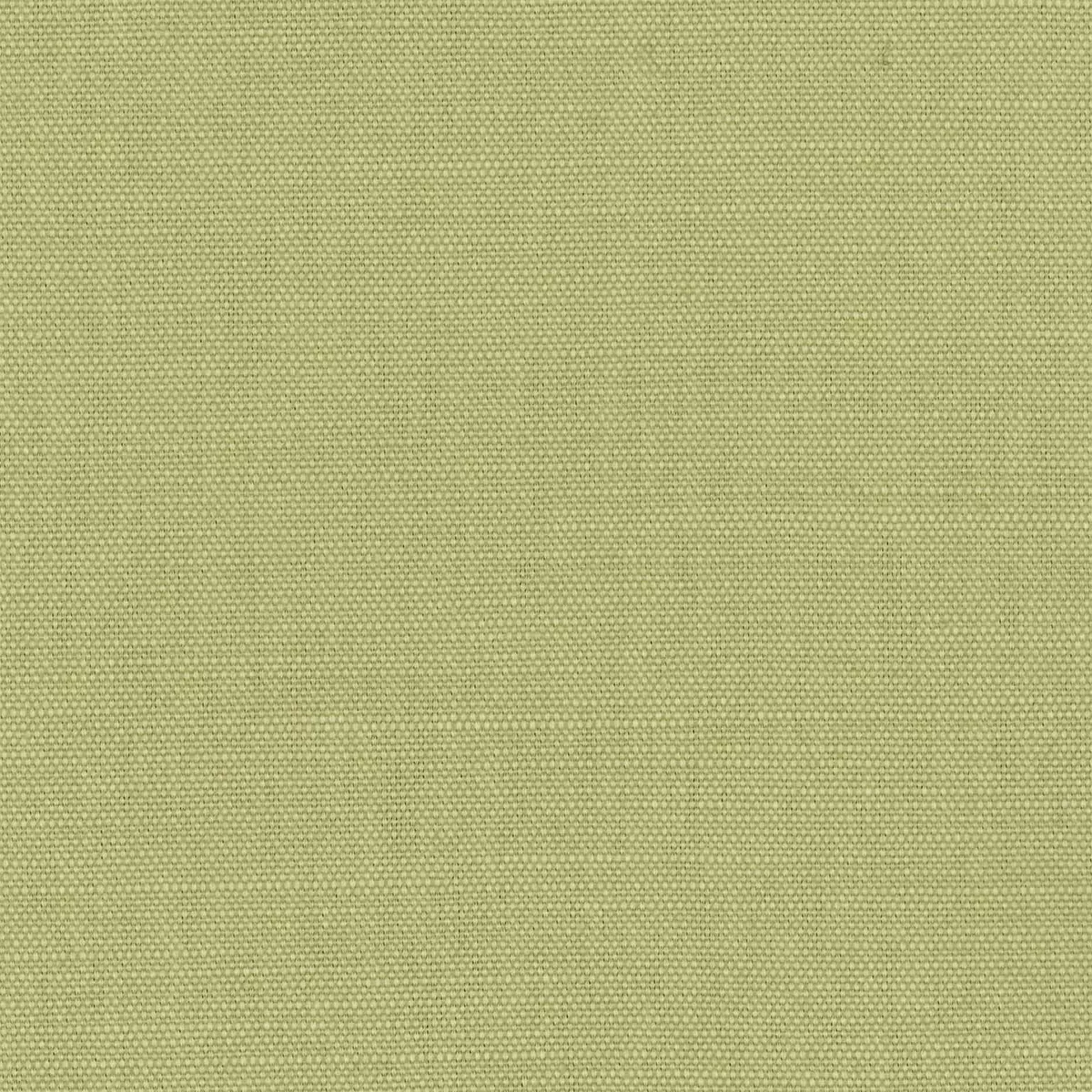 View Lacquer | Avocado Lacquer | Avocado