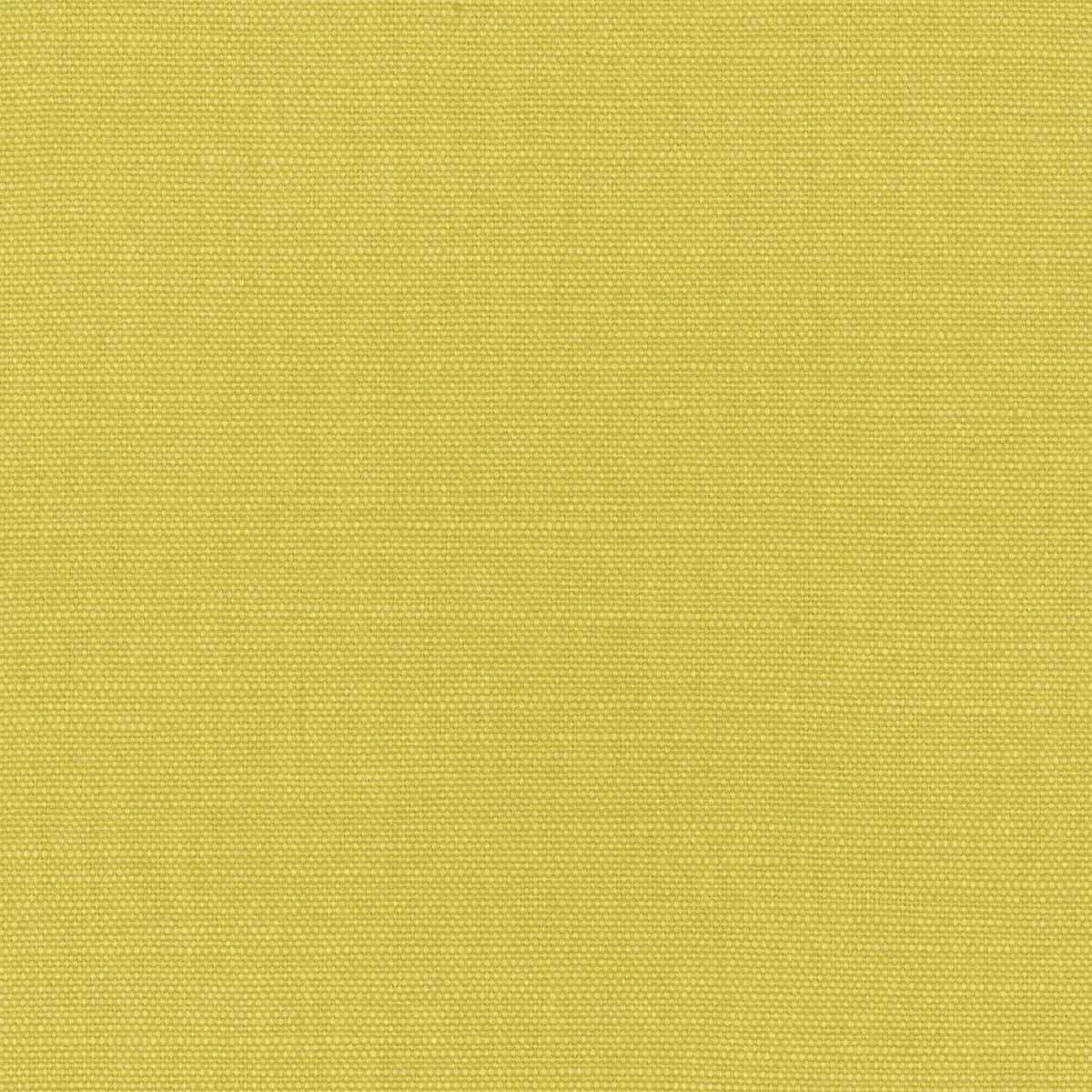 View Lacquer | Citrus Lacquer | Citrus