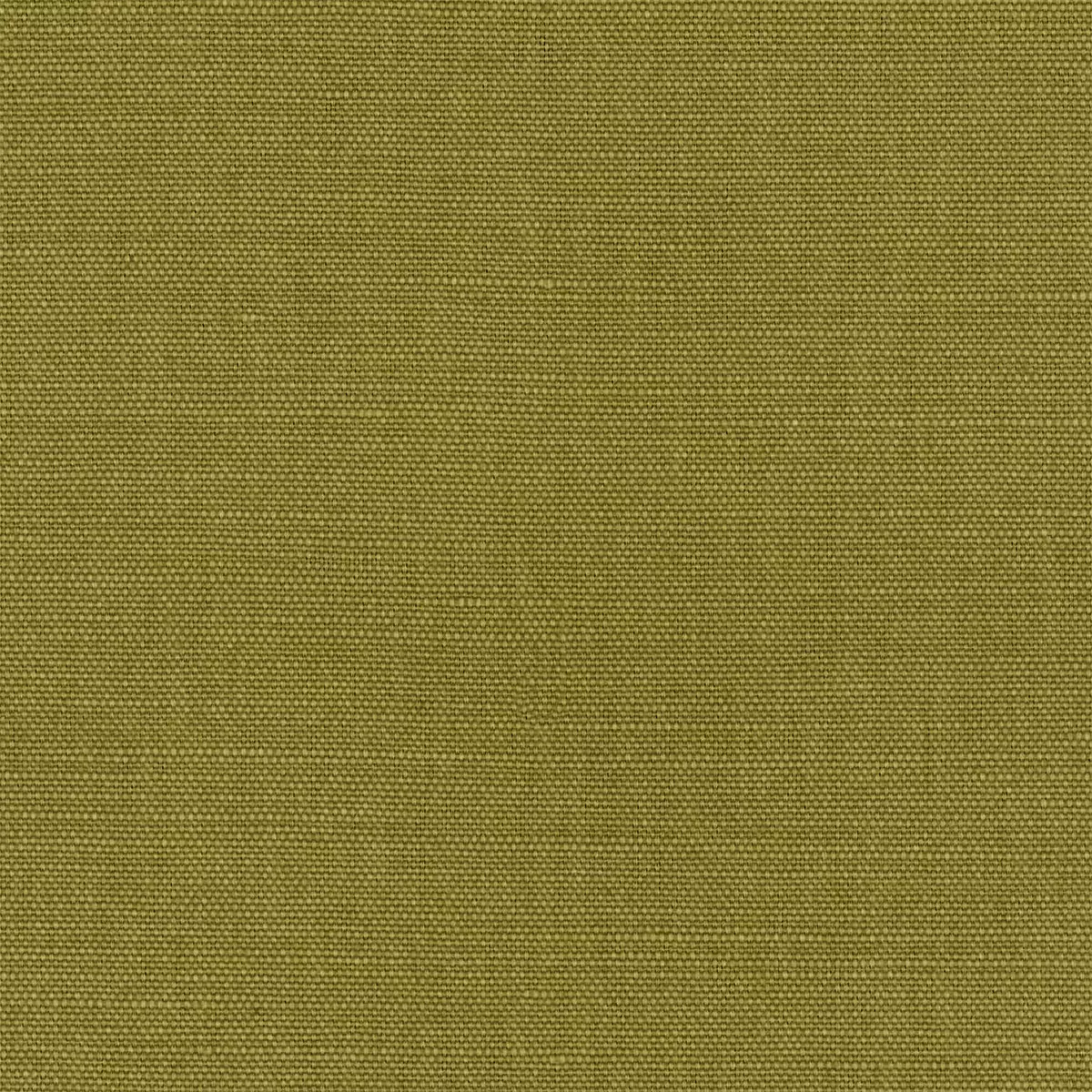 View Lacquer | Verde Lacquer | Verde
