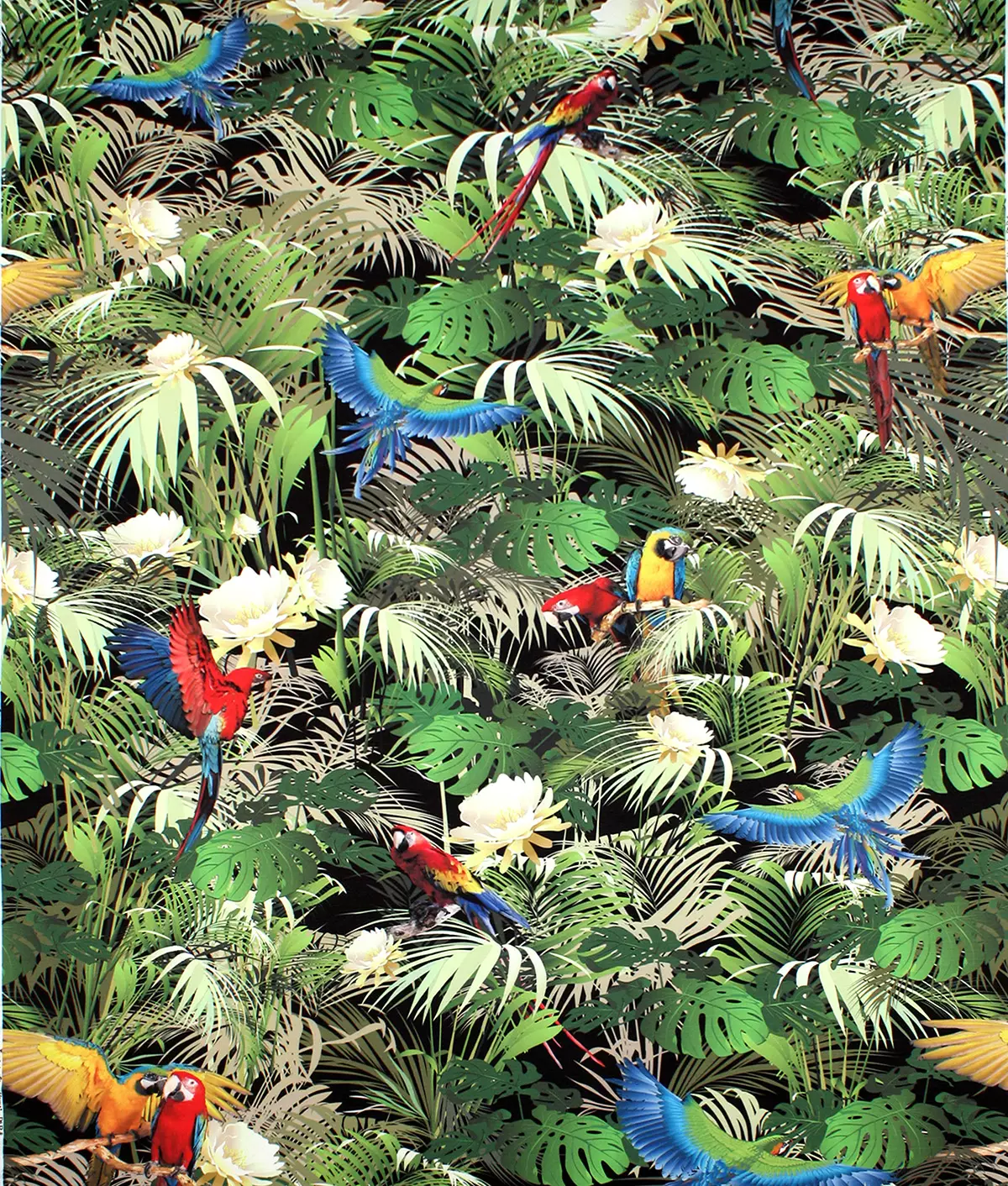 View Rainforest - Midnight Rainforest - Midnight