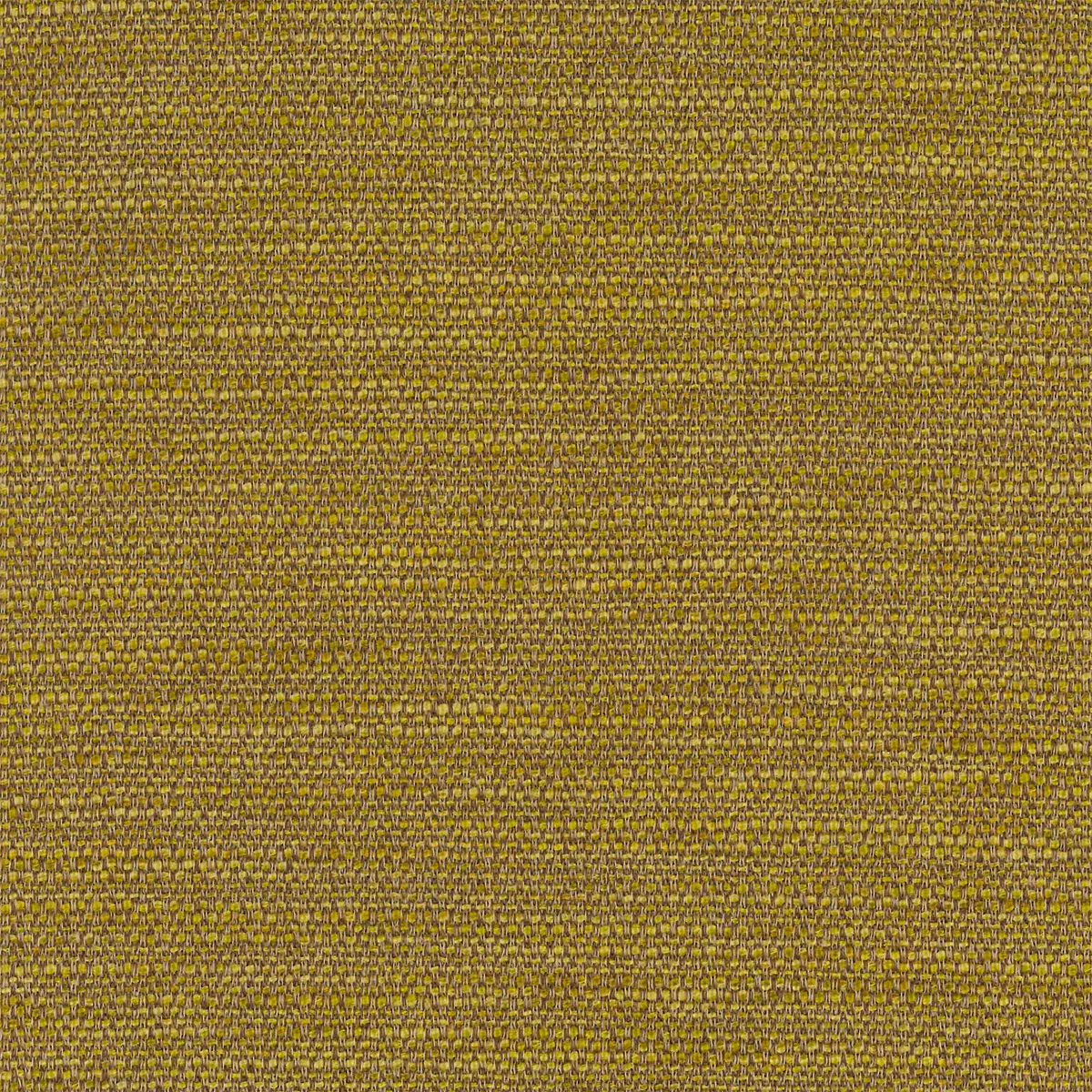 View Rossi | CALCITE Rossi | CALCITE