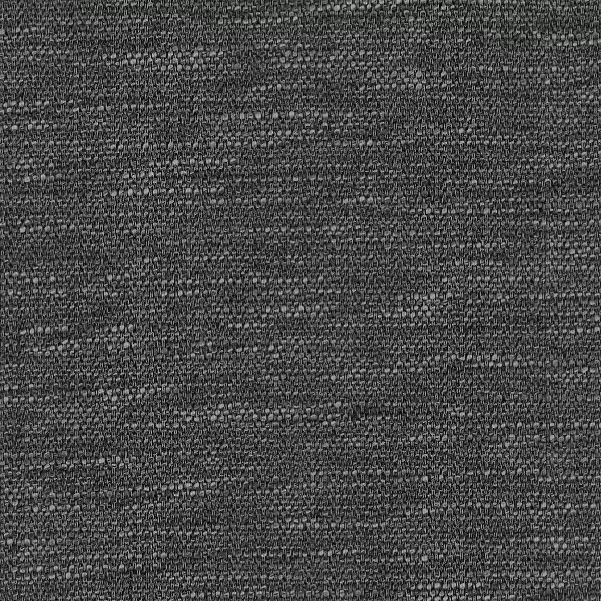 View Rossi | Graphite Rossi | Graphite