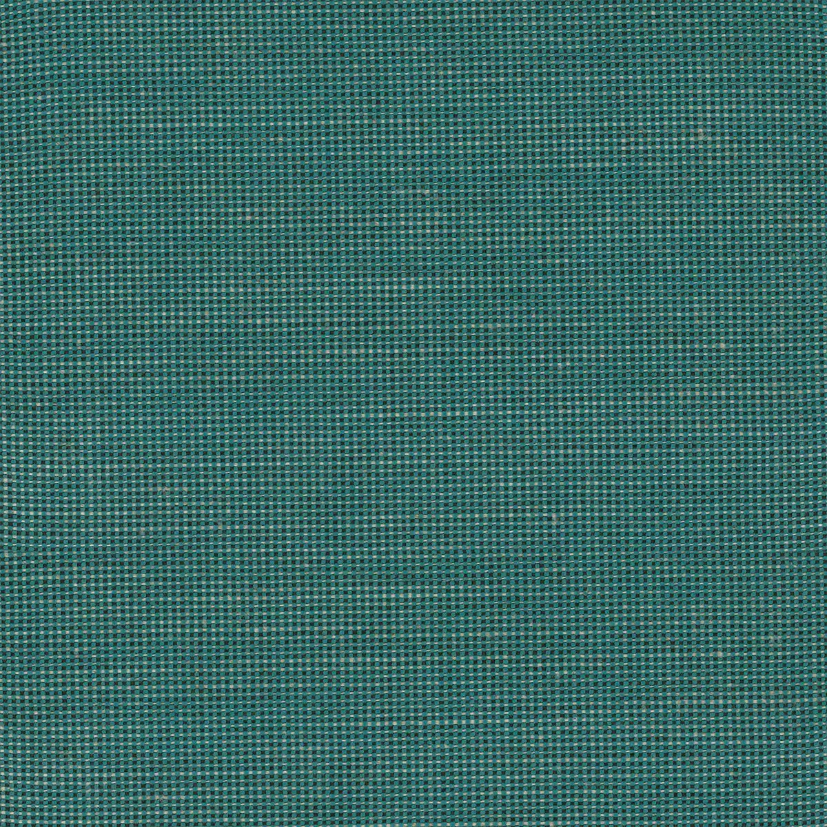Watson | Turquoise